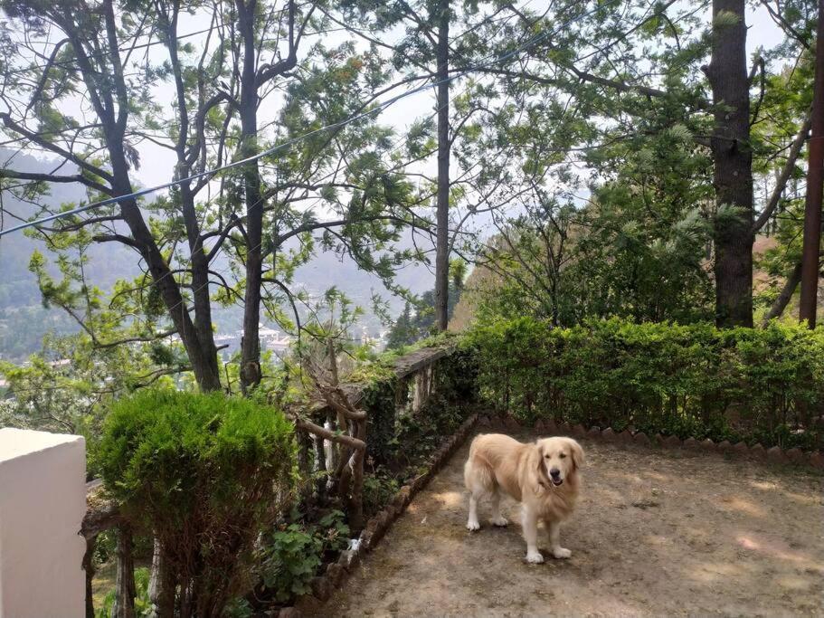 Whistling Thrush Cottage, Bhimtal Nainital Eksteriør billede