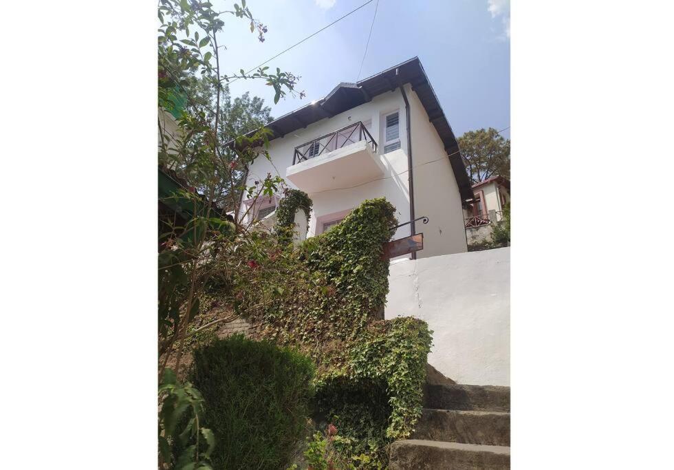 Whistling Thrush Cottage, Bhimtal Nainital Eksteriør billede