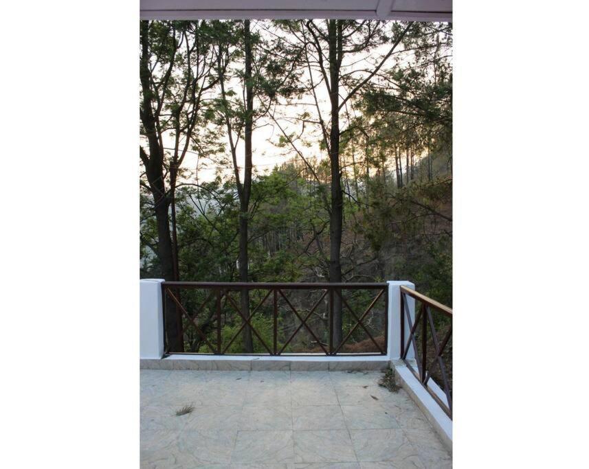 Whistling Thrush Cottage, Bhimtal Nainital Eksteriør billede